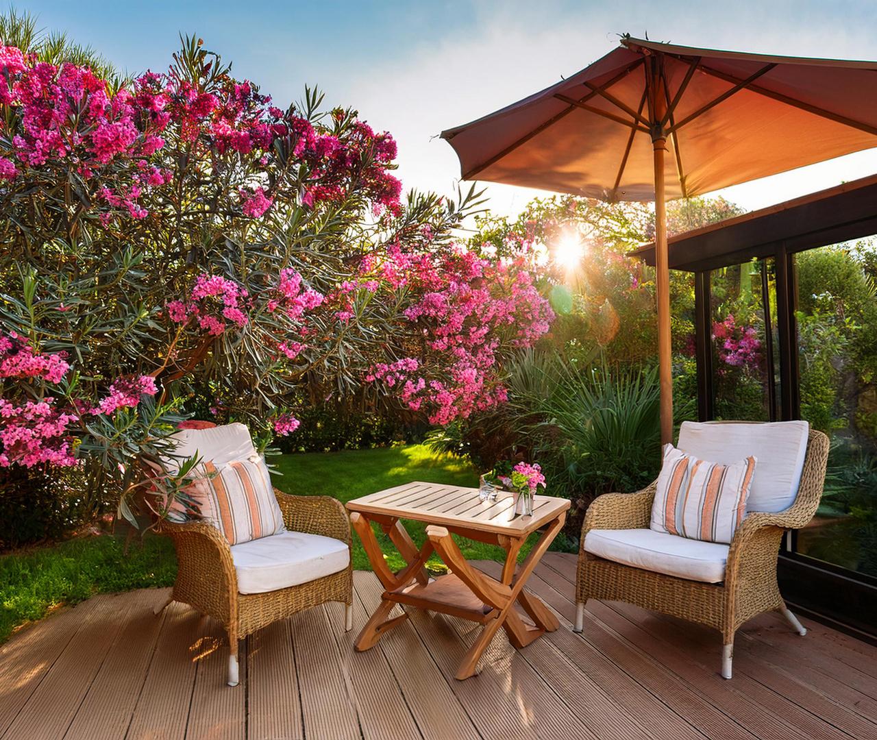 Laurier Rose 'Jannoch'