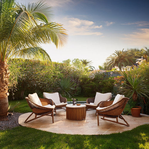 Comment planter et cultiver des palmiers dans votre jardin