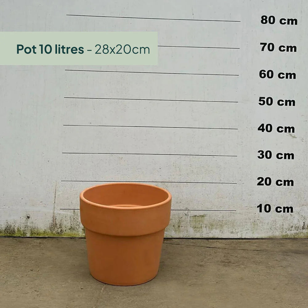 Pot en terre cuite - 10 litres