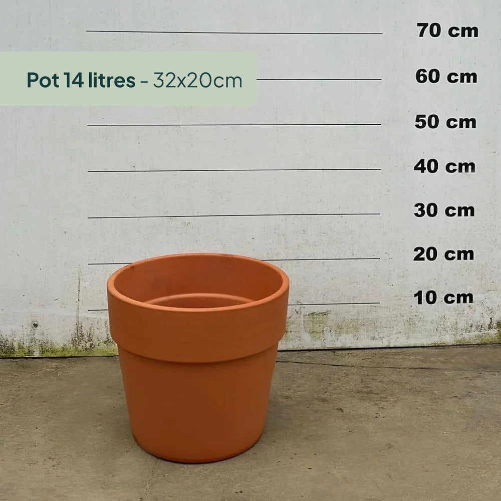 Pot en terre cuite - 14 litres