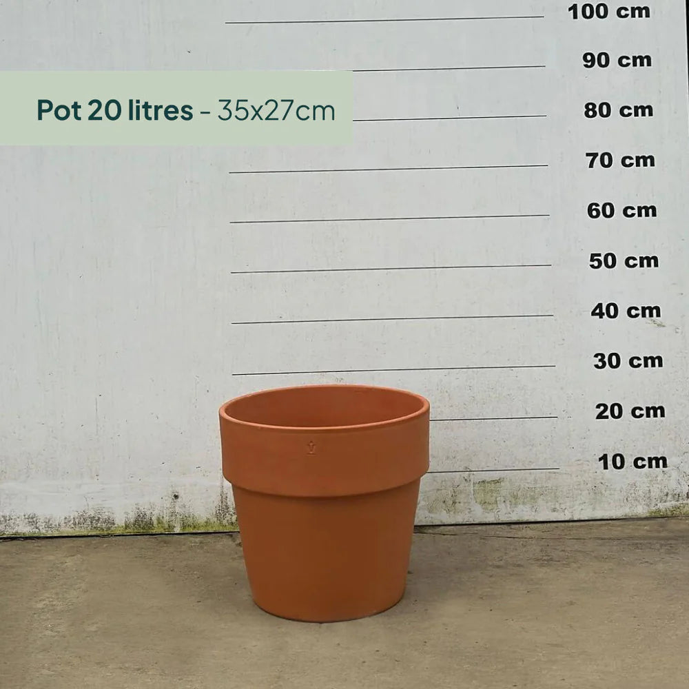 Pot en terre cuite - 20 litres
