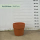 Pot en terre cuite - 20 litres