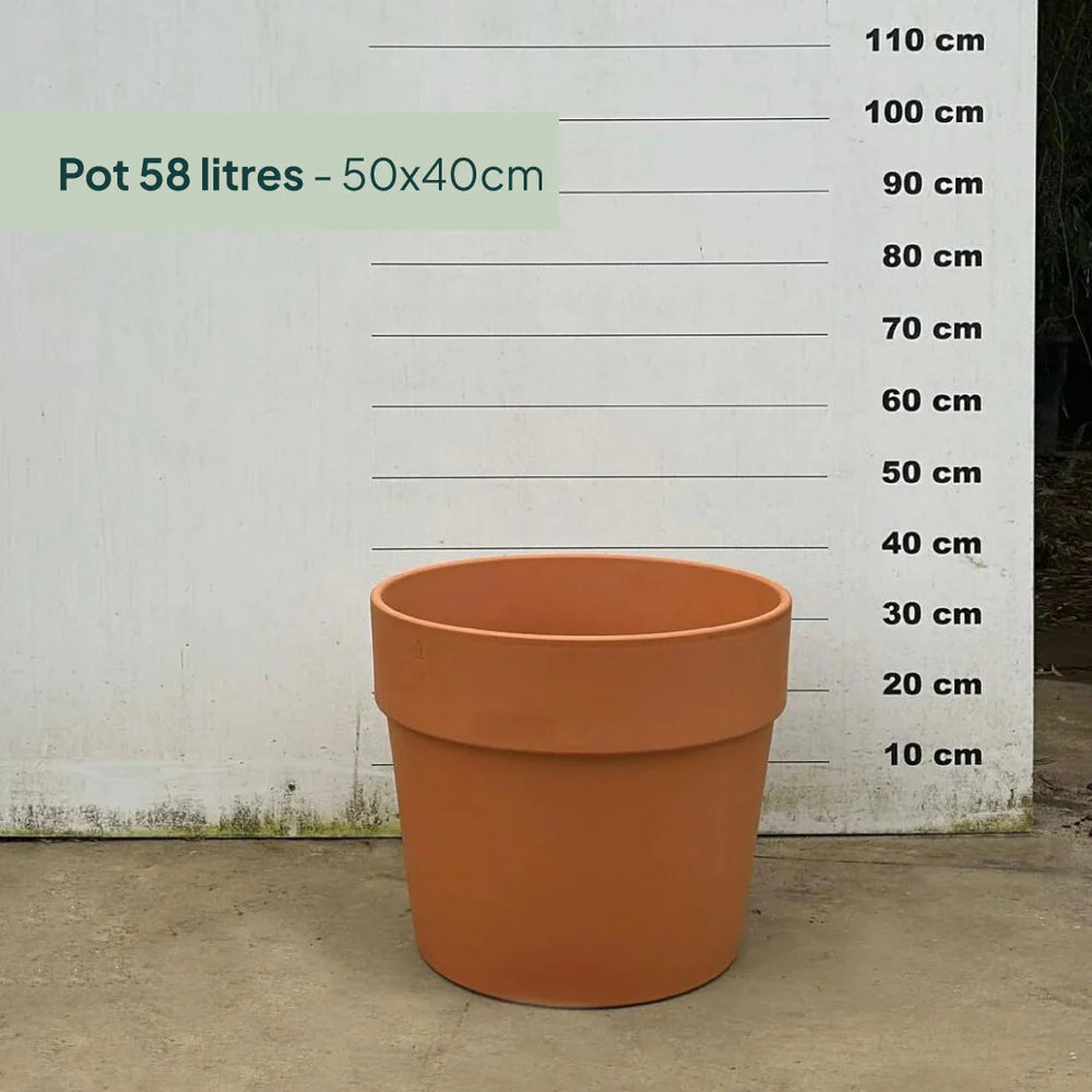 Pot en terre cuite - 58 litres
