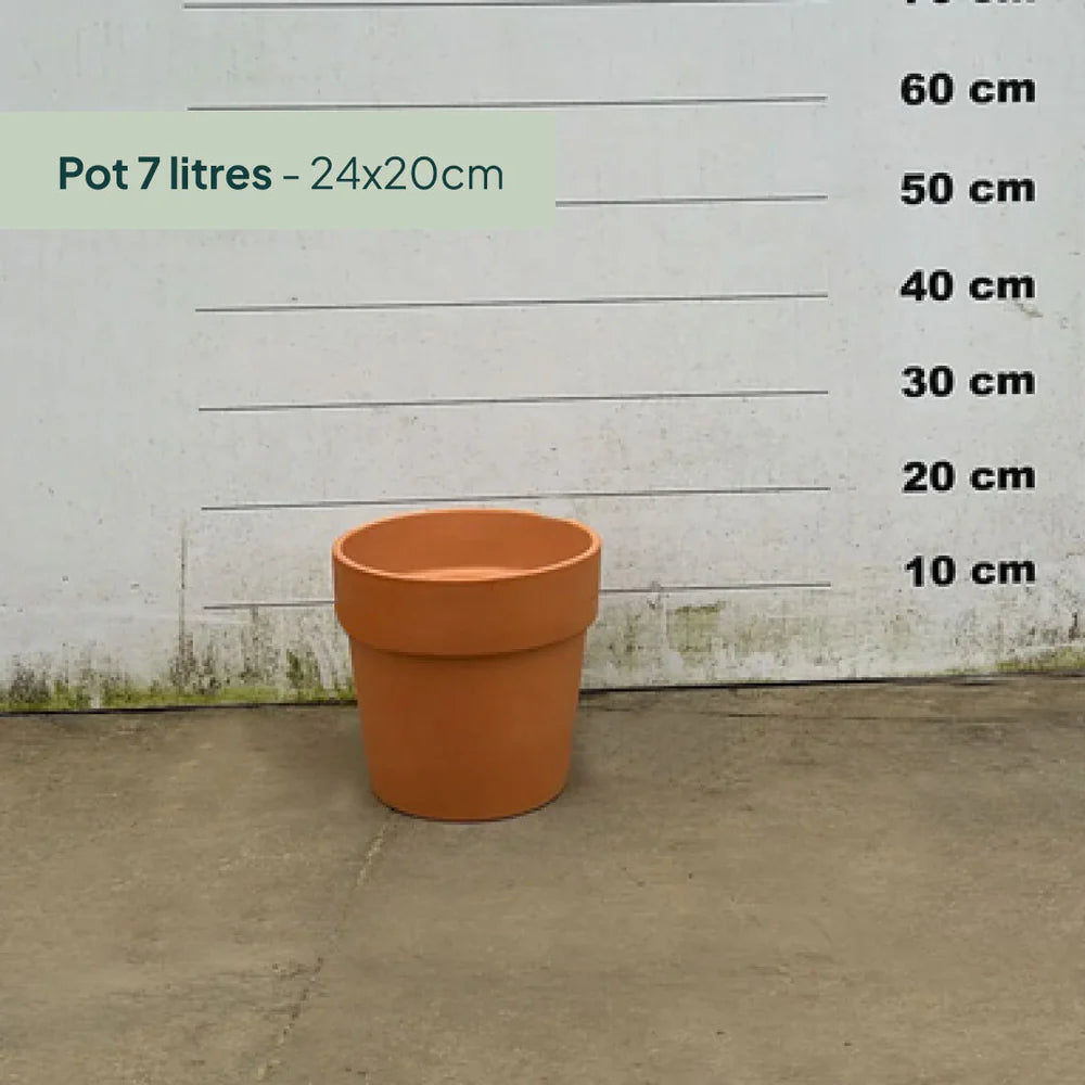 Pot en terre cuite - 7 litres