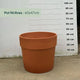 Pot en terre cuite - 96 litres
