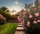 Laurier Rose 'Docteur Ragioneri'